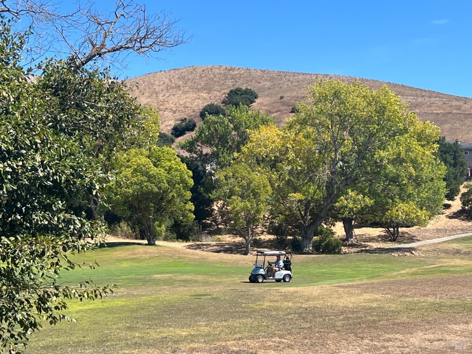 4168 Summer Gate Ave