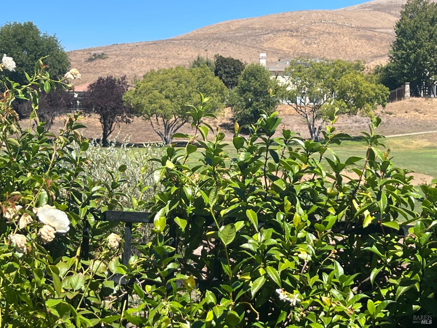 4168 Summer Gate Ave