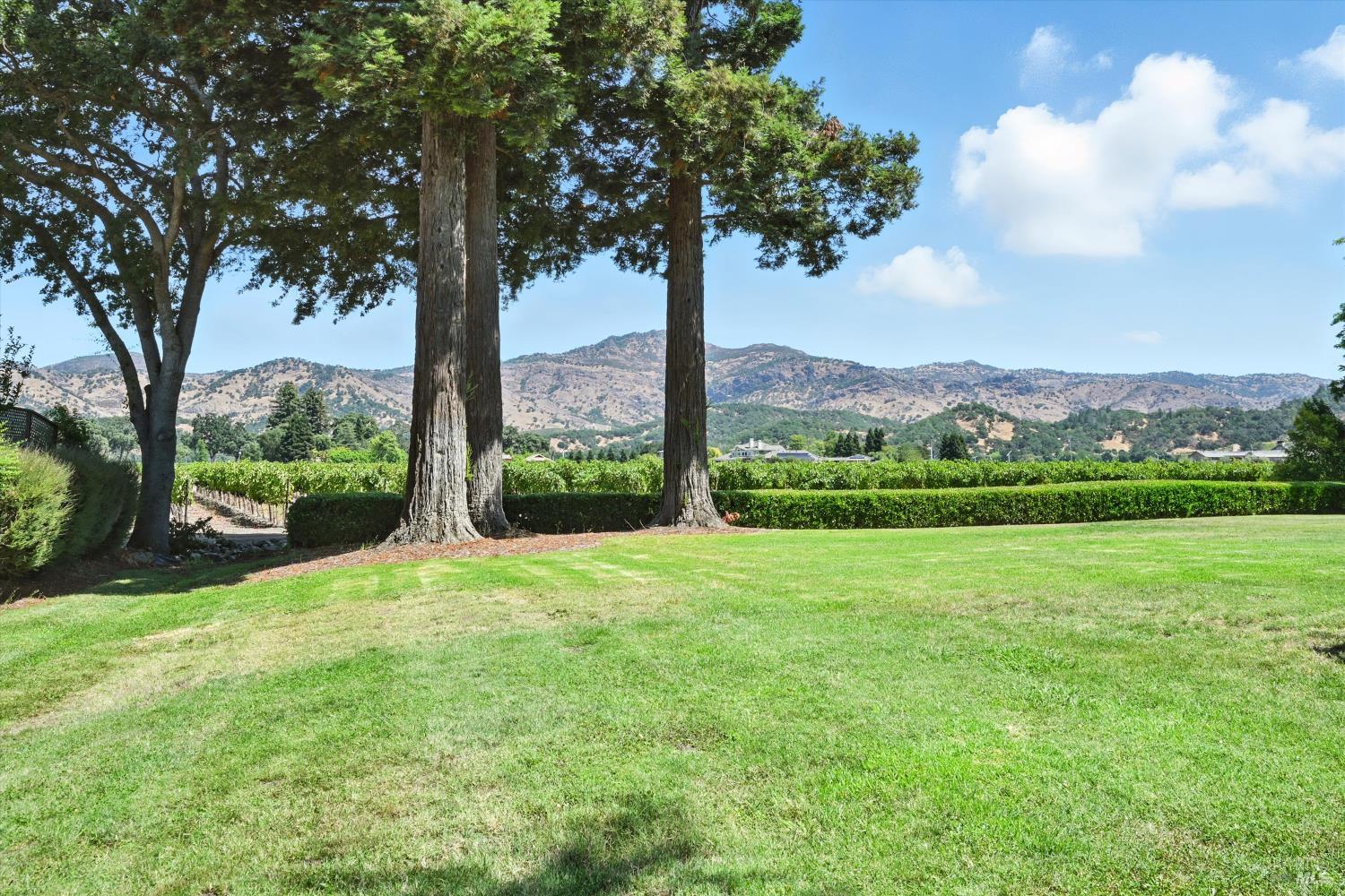 152 Vineyard Cir