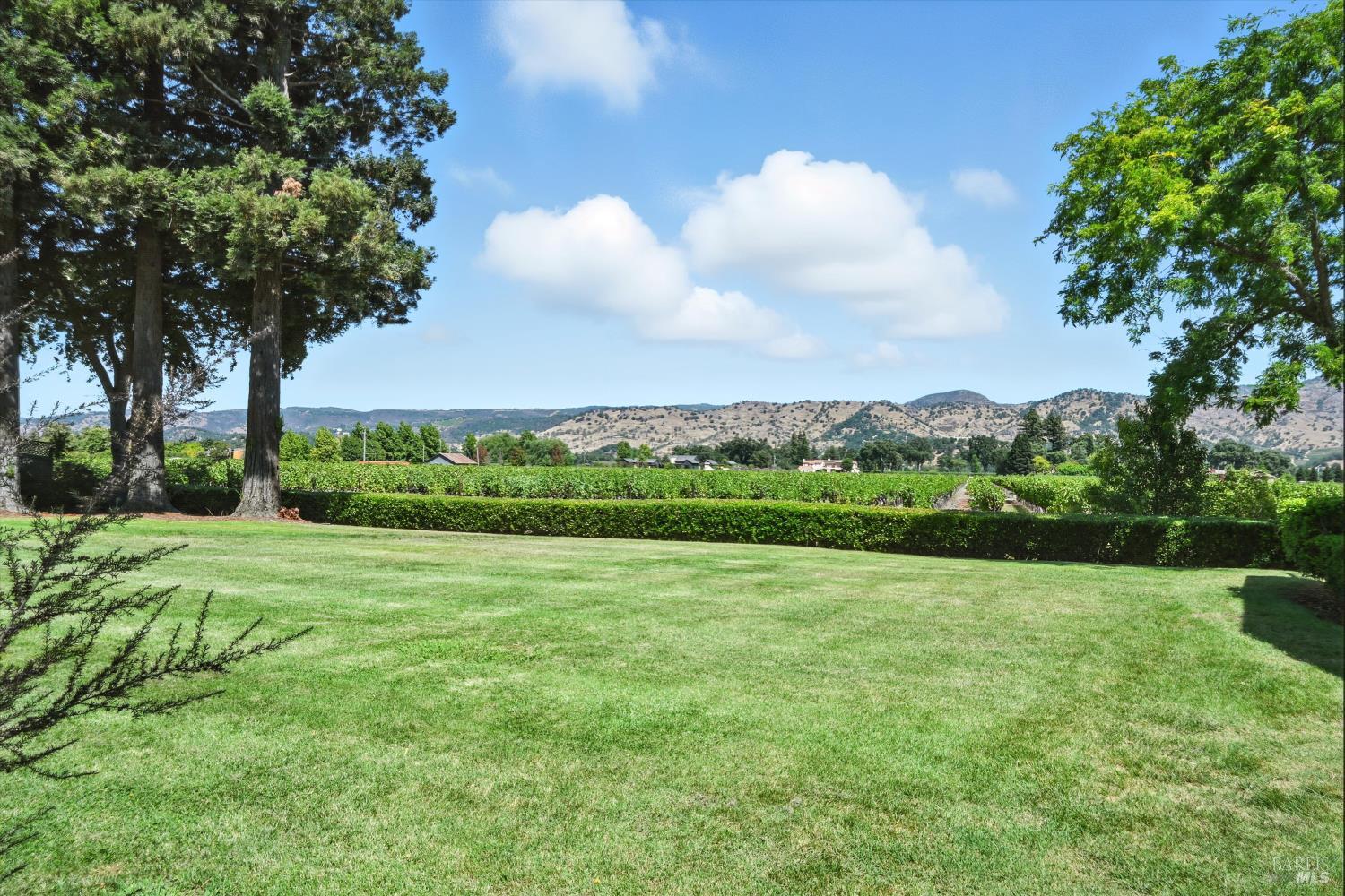 152 Vineyard Cir