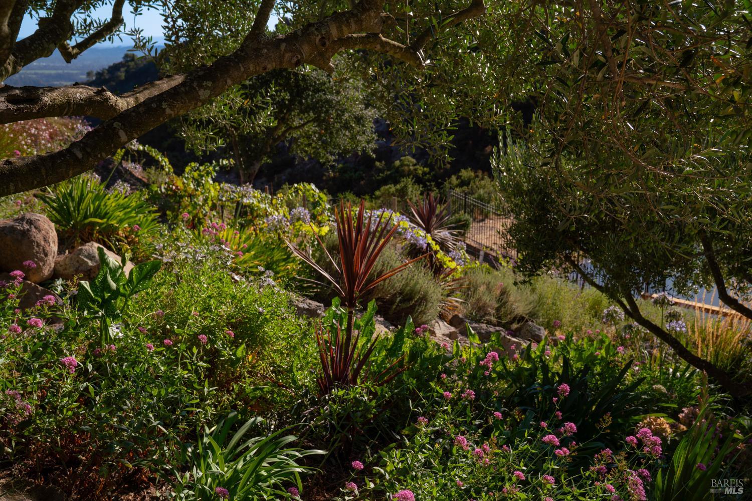 2700 Atlas Peak Rd Unit:  