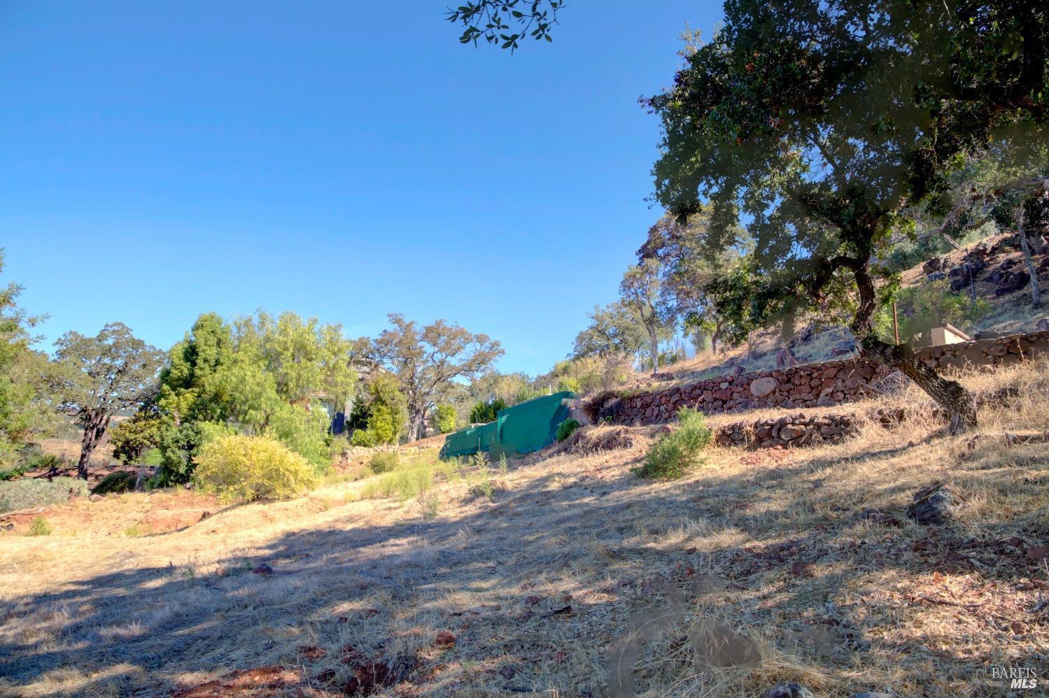 1166 Castle Oaks Dr