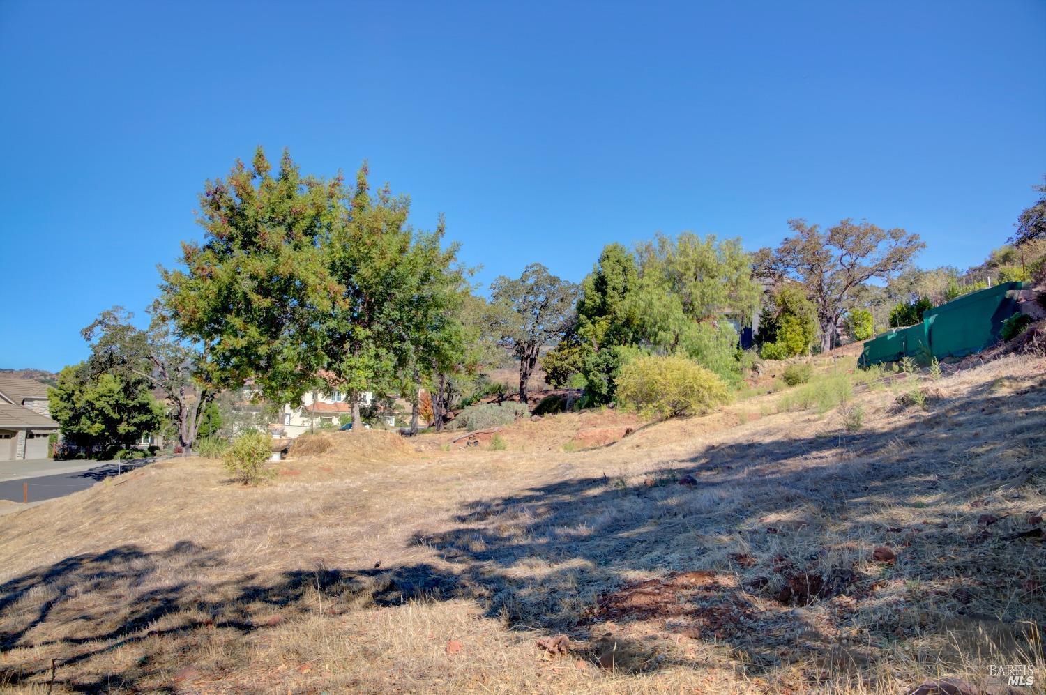 1166 Castle Oaks Dr