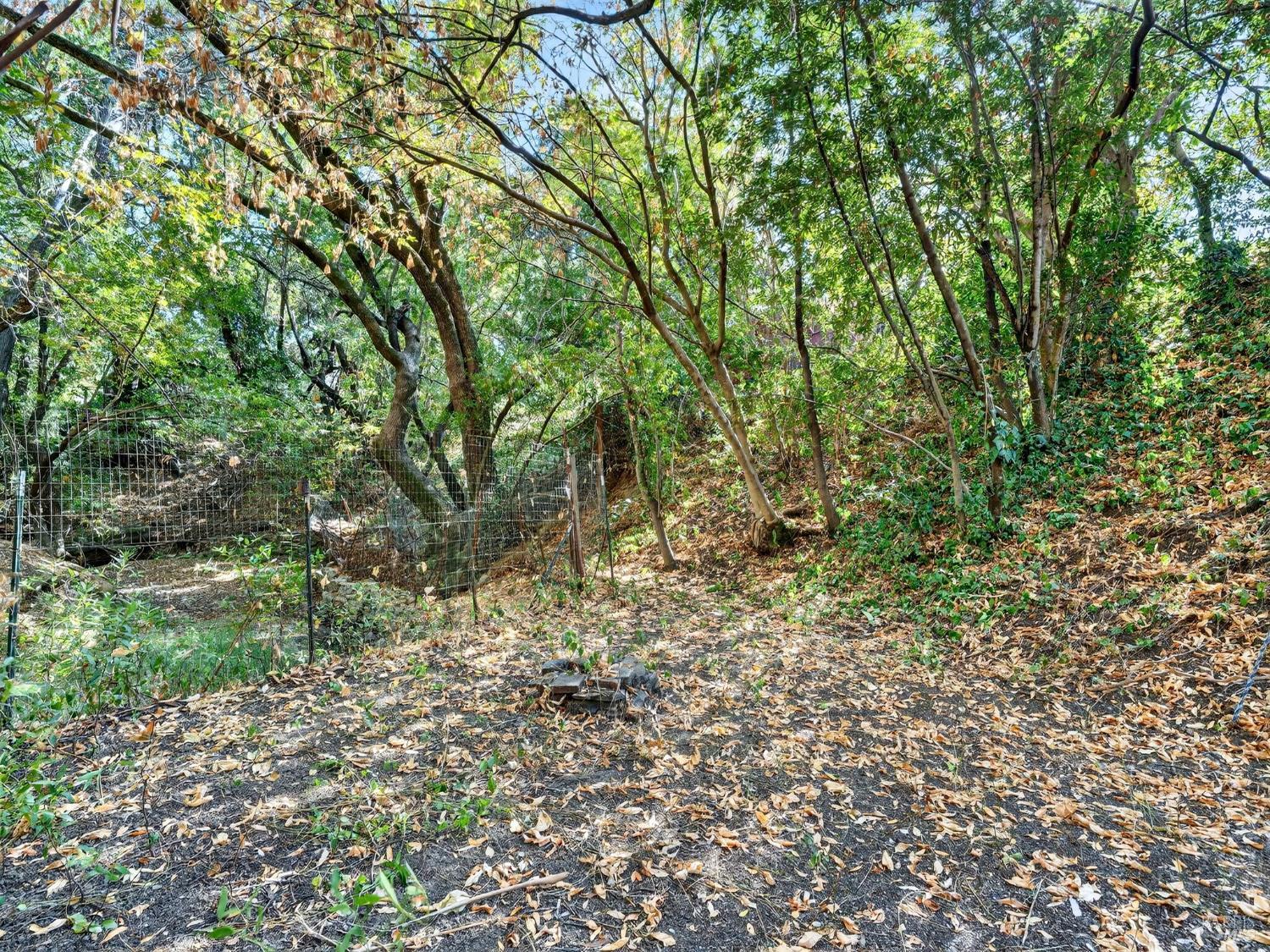 236 Skylark Way