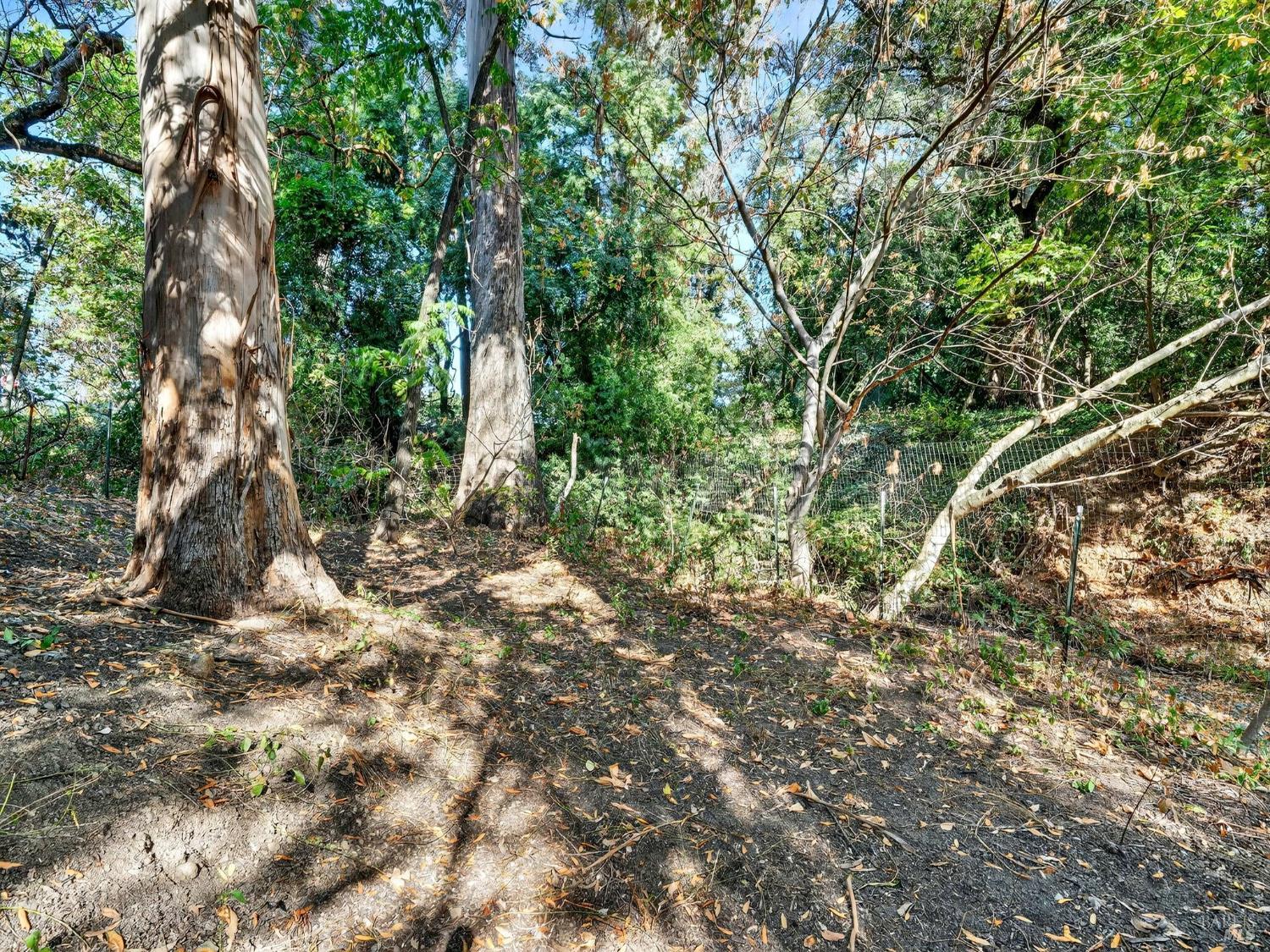 236 Skylark Way