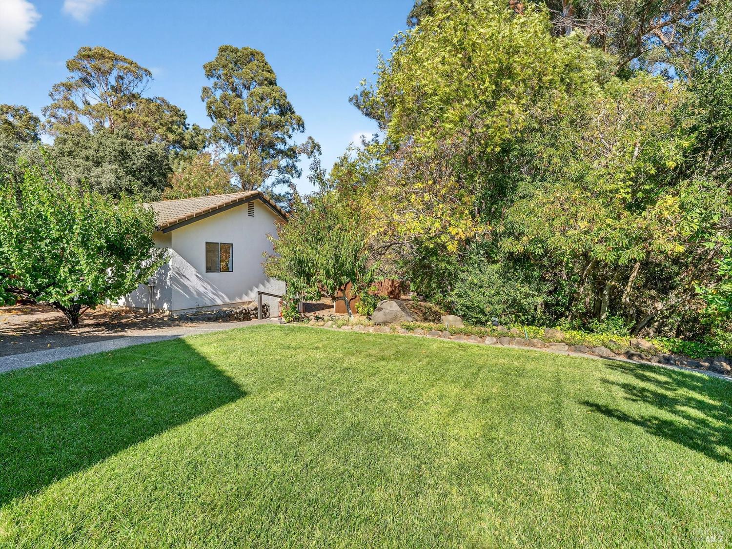 236 Skylark Way