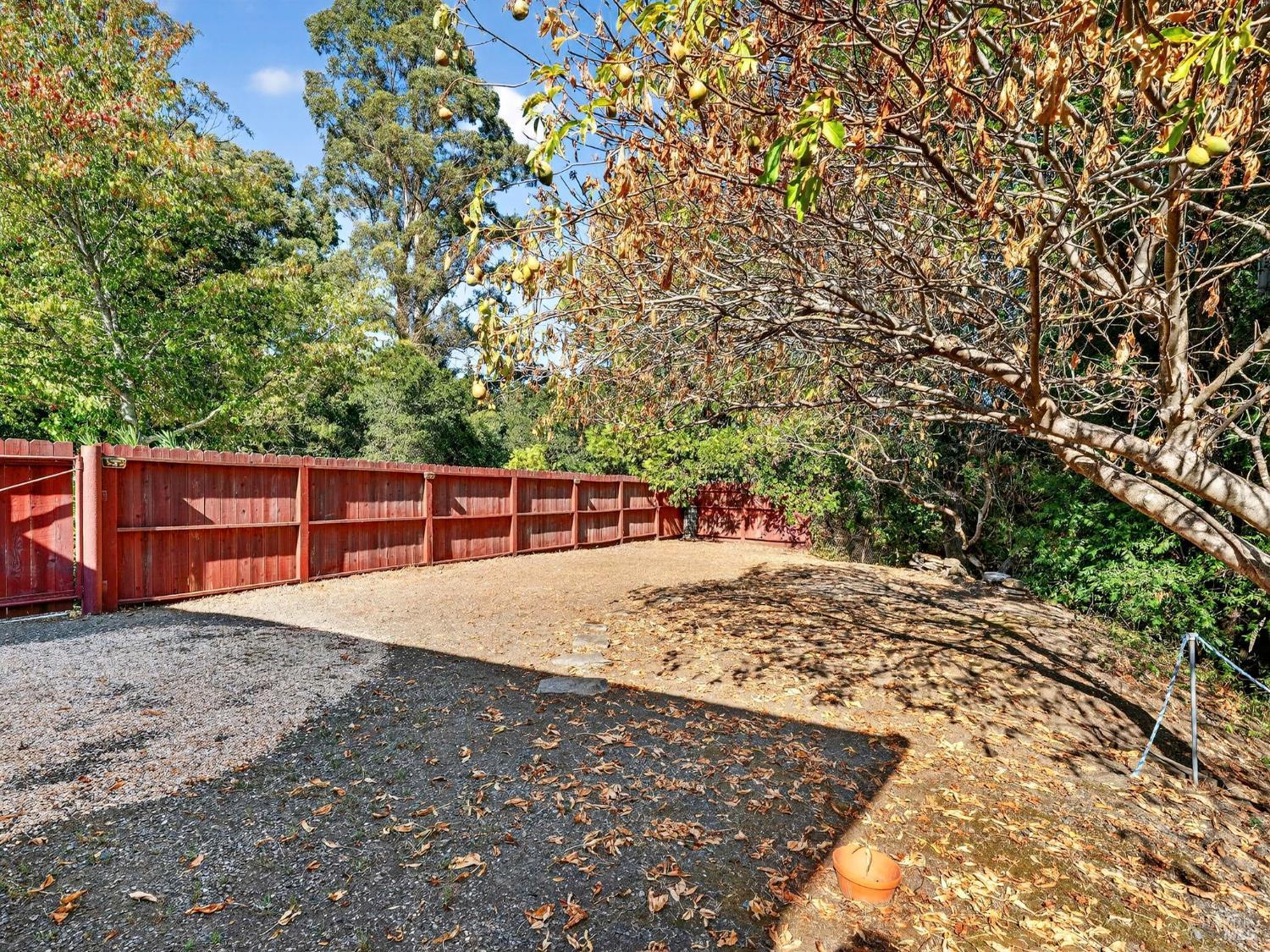 236 Skylark Way