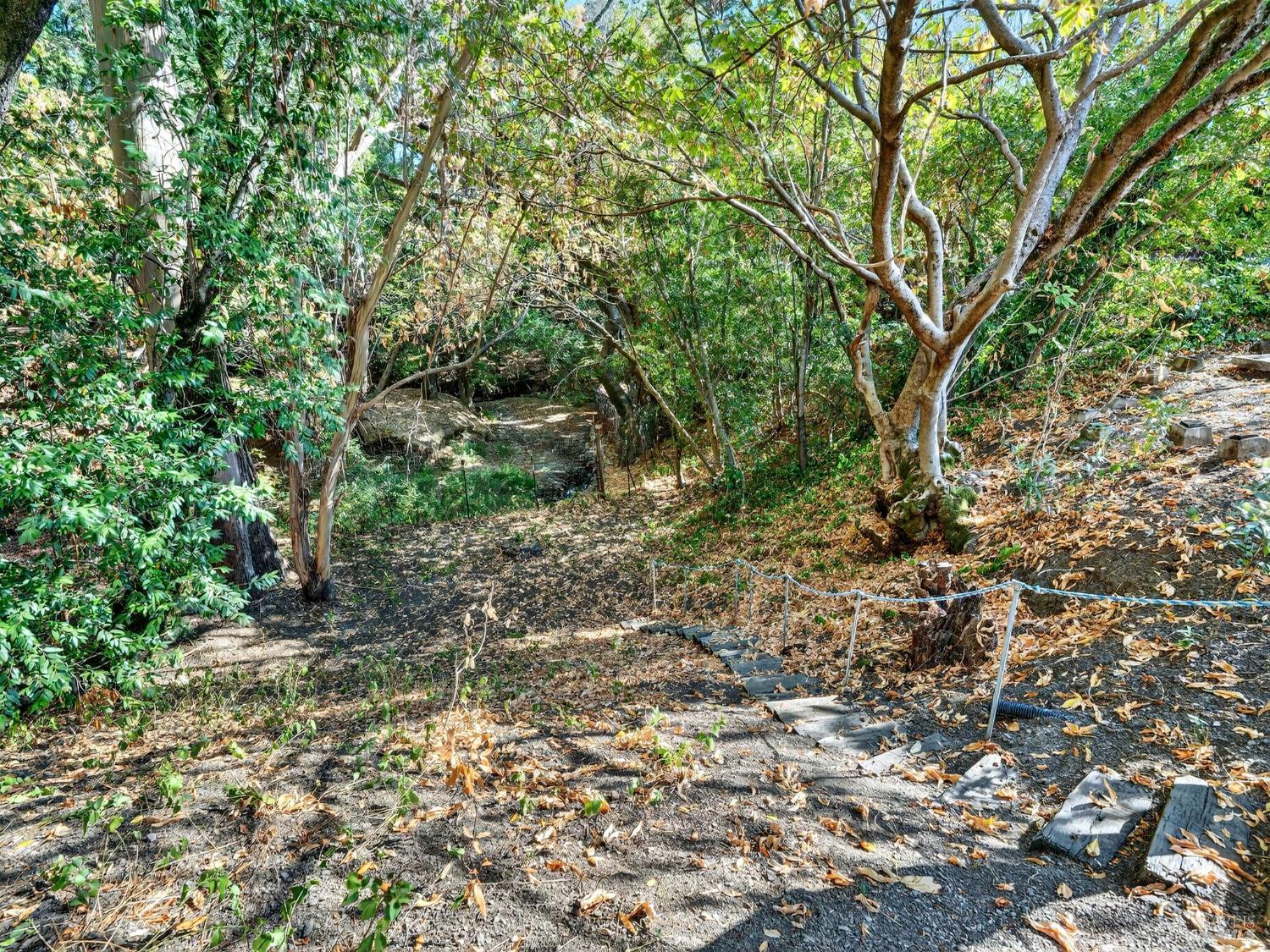 236 Skylark Way