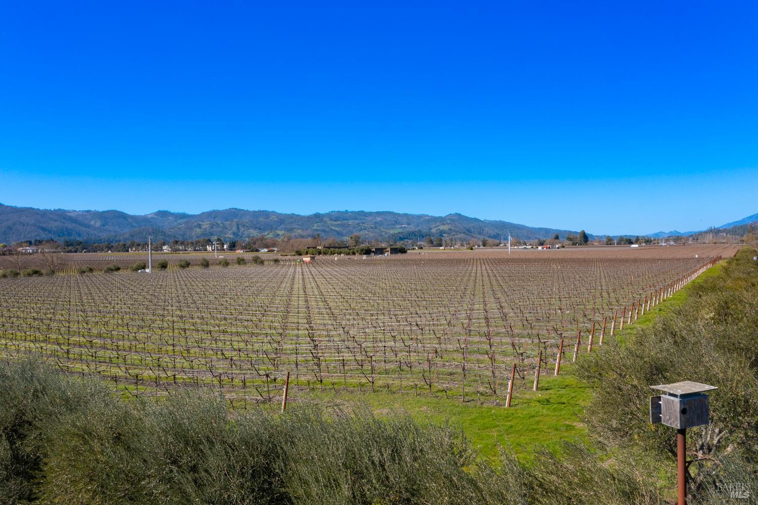 218 Zinfandel Ln