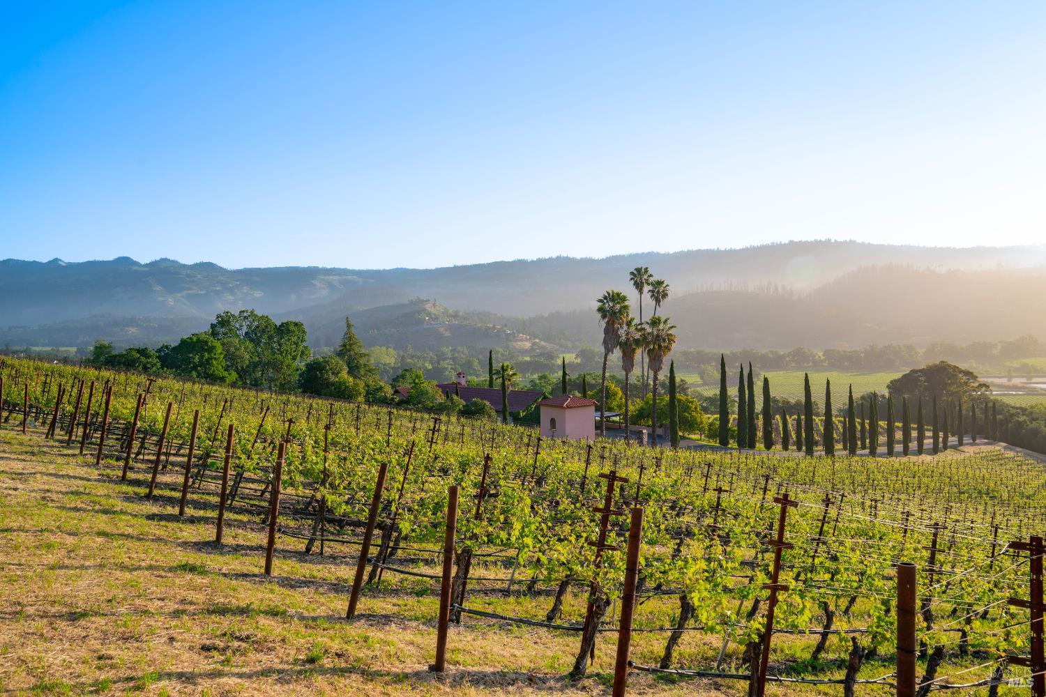 2893 Saint Helena Highway N