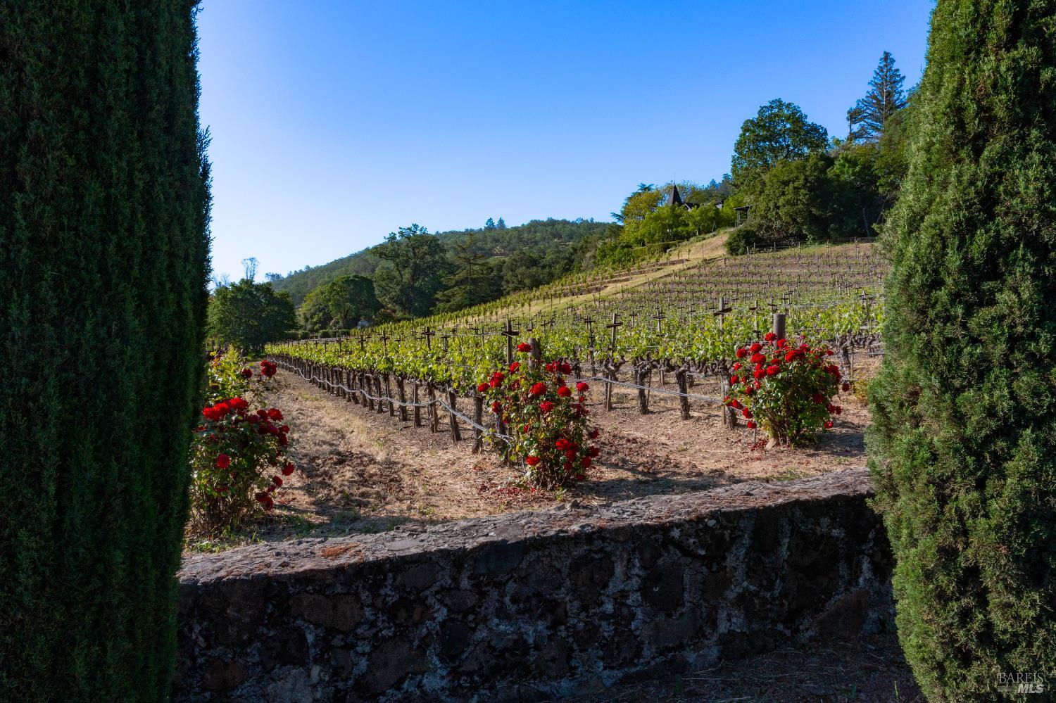 2893 Saint Helena Highway N