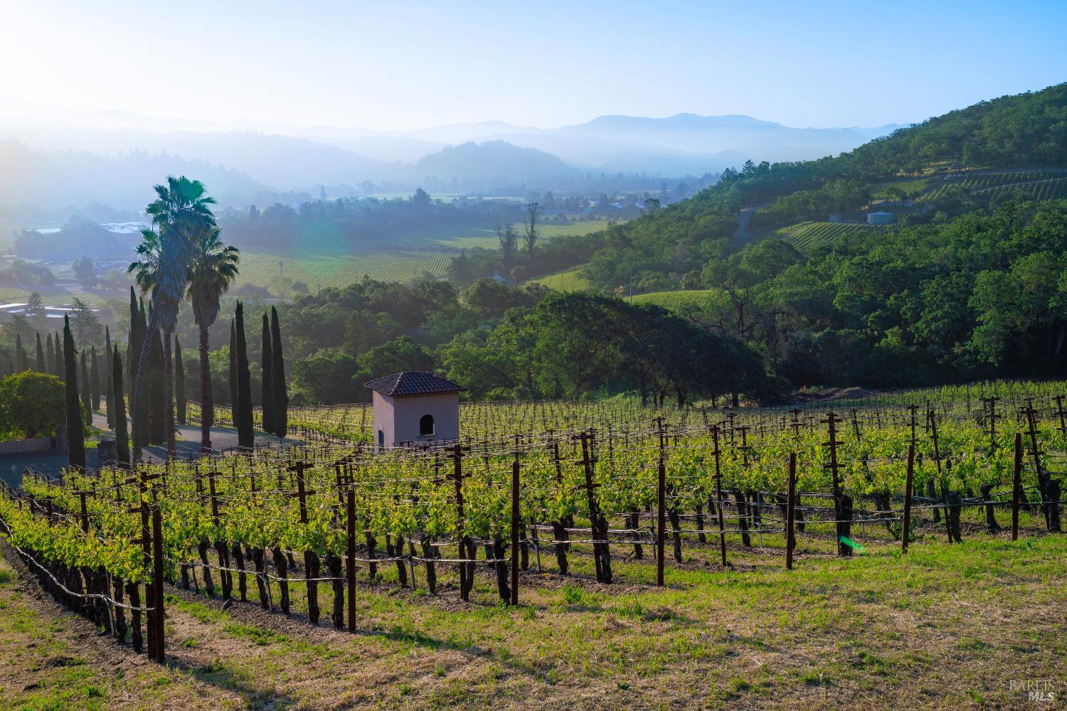 2893 Saint Helena Highway N