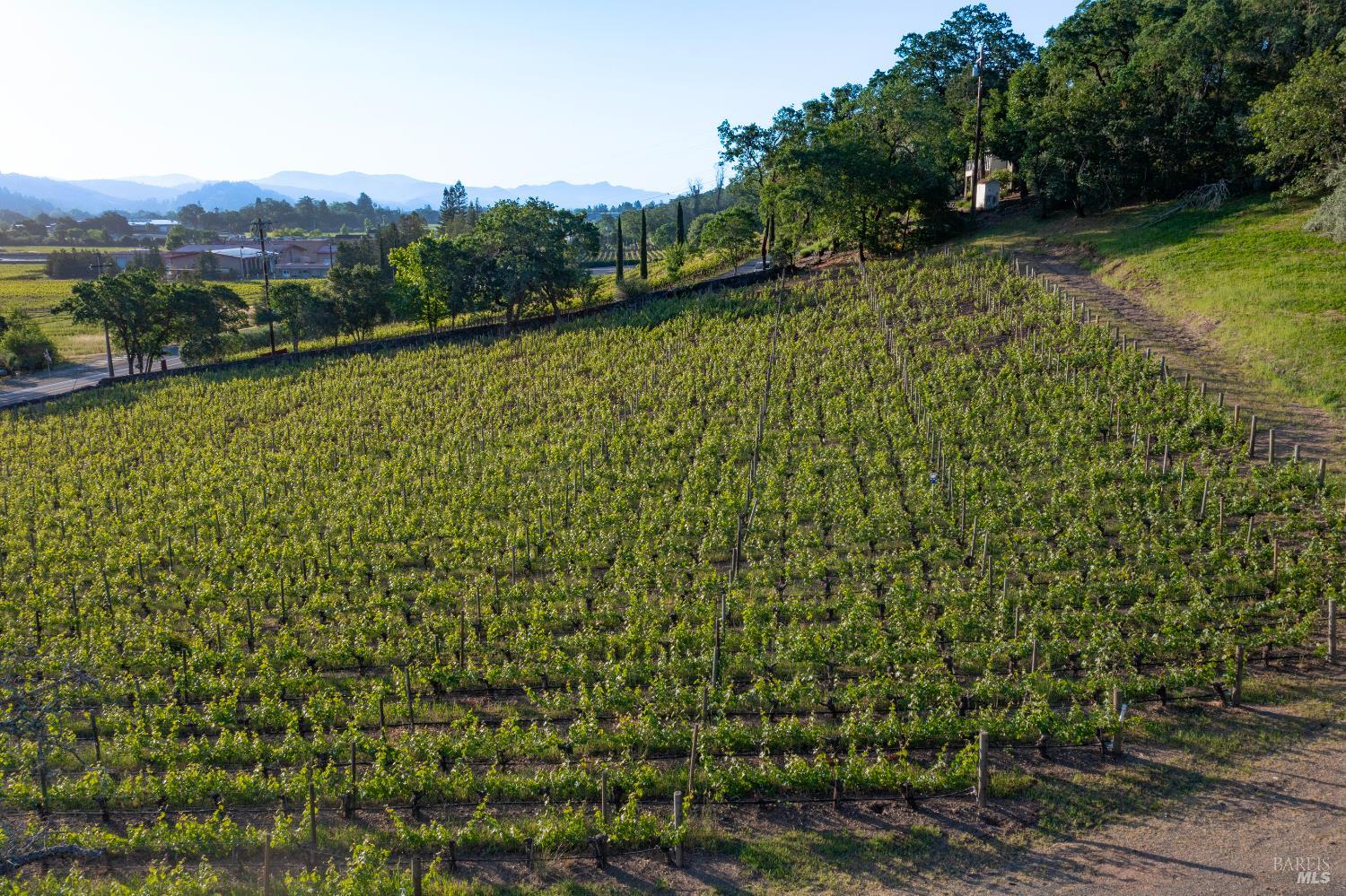 2893 Saint Helena Highway N