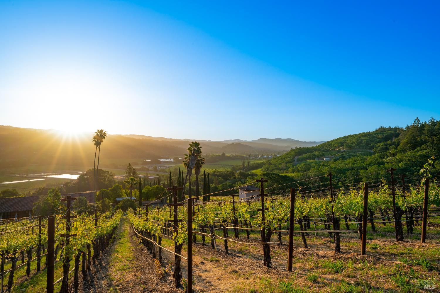 2893 Saint Helena Highway N