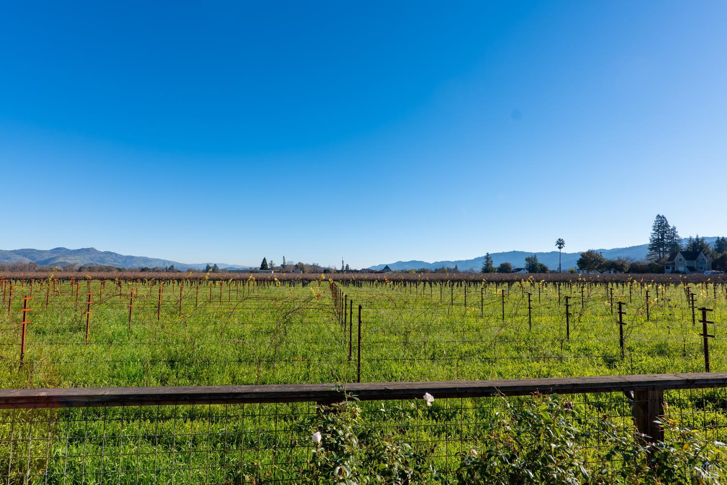 1135 Rutherford Road