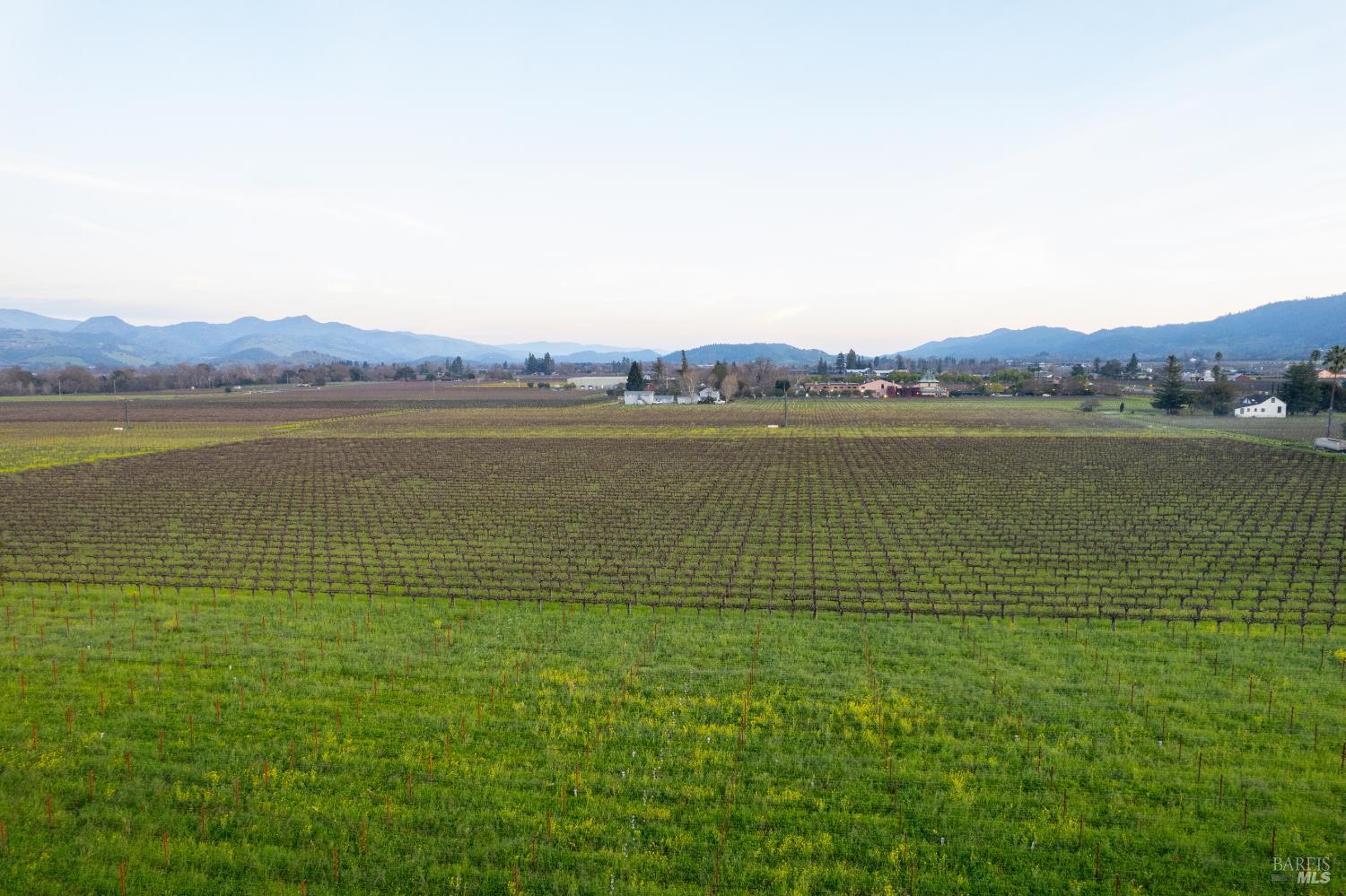 1135 Rutherford Road