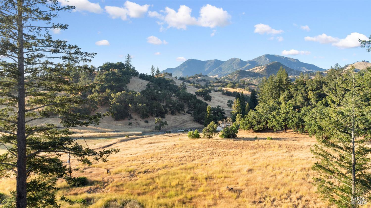 18907 State Highway 128