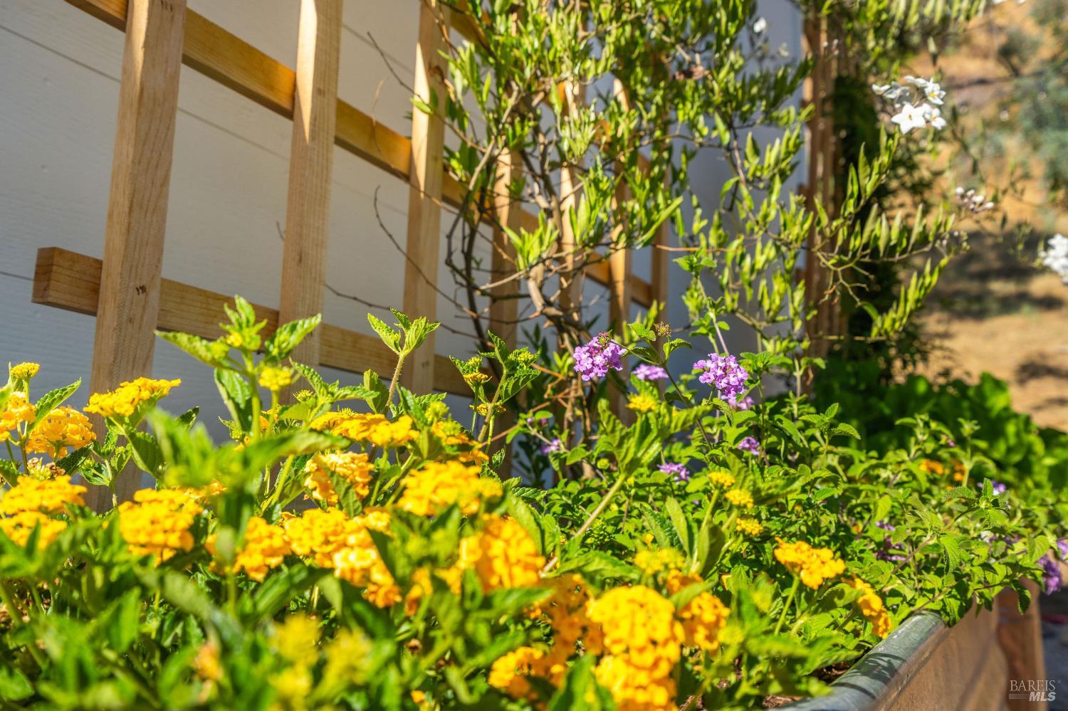 5400 Wragg Canyon Road