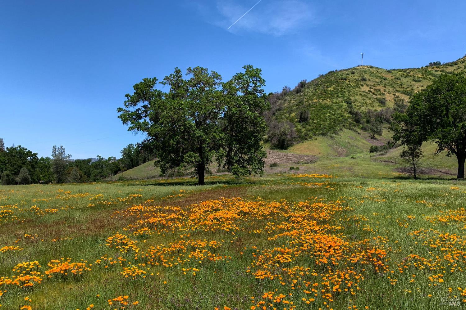 5400 Wragg Canyon Road