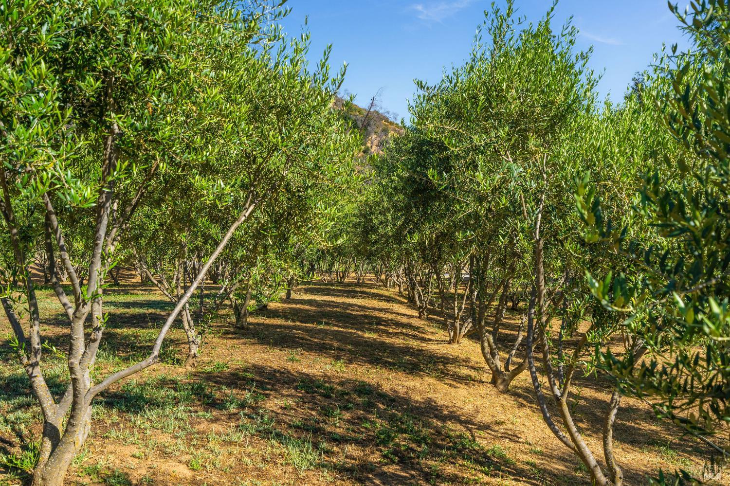 5400 Wragg Canyon Road