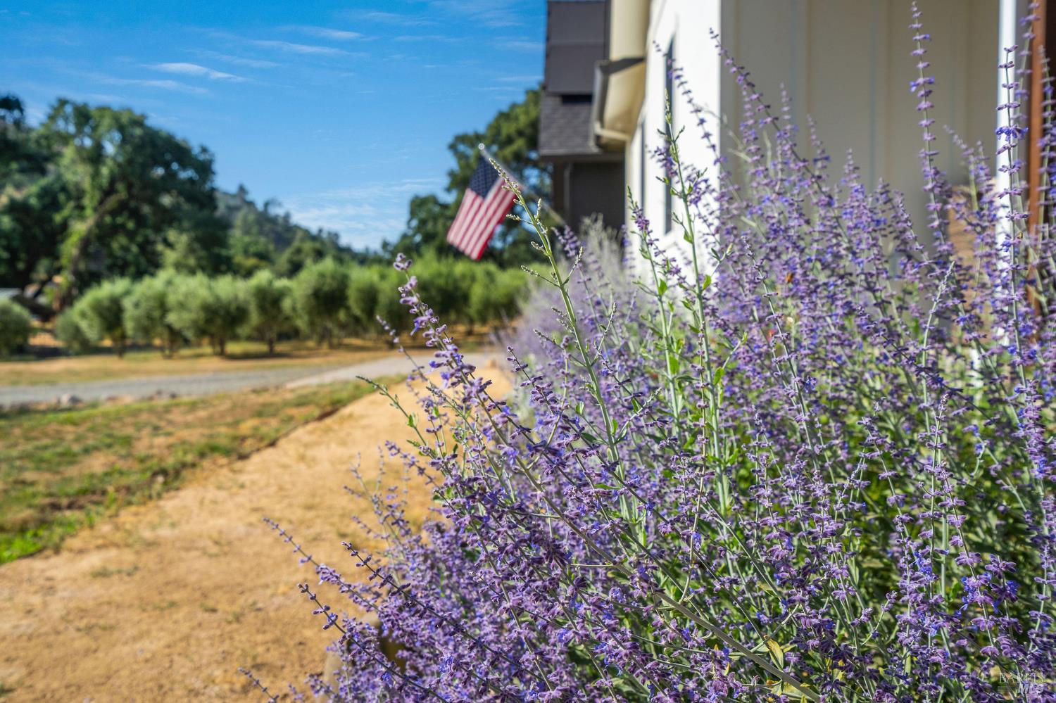 5400 Wragg Canyon Road