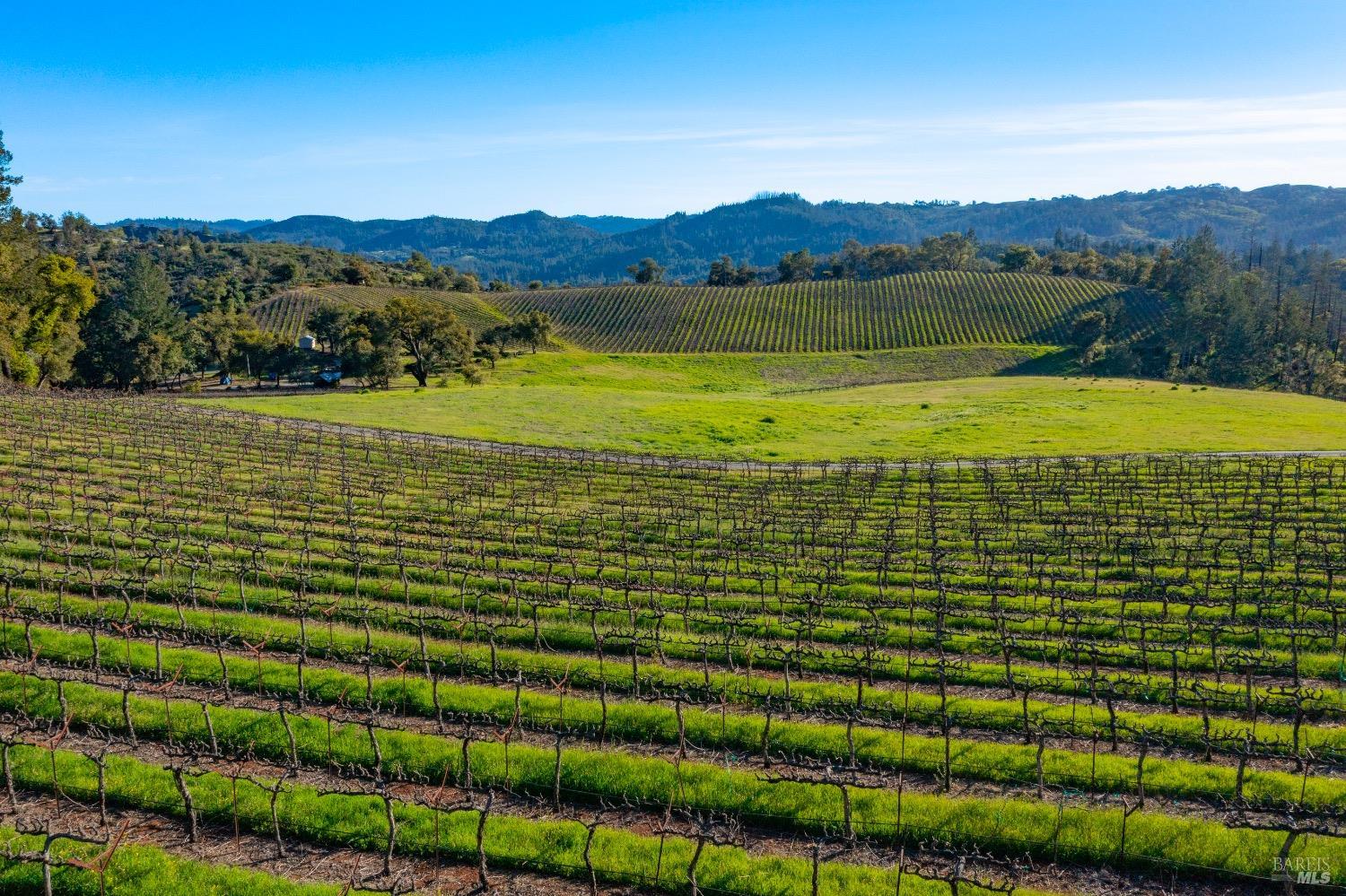 18276 Hwy 128 Unit: #A