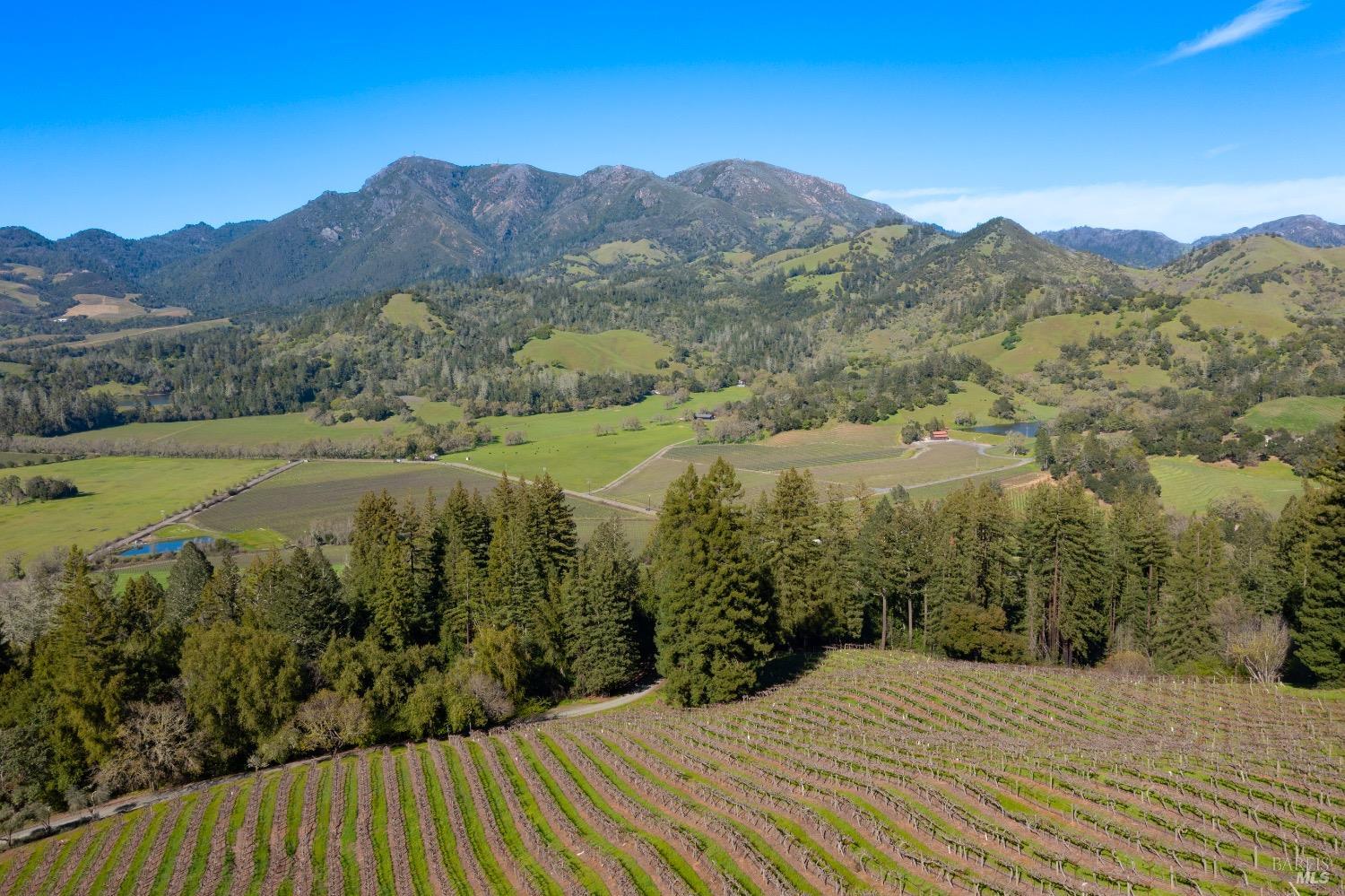 18276 Hwy 128 Unit: #A