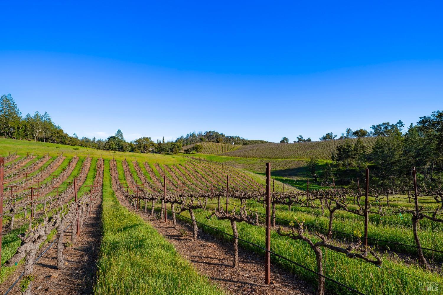 18276 Hwy 128 Unit: #A