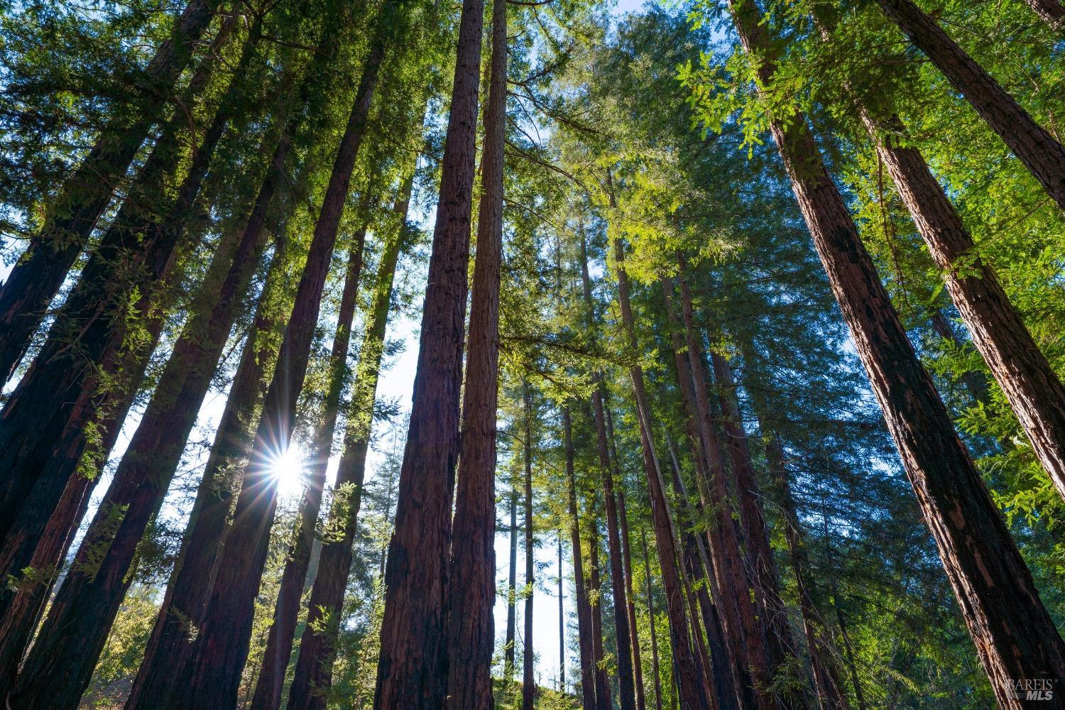 18276 Hwy 128 Unit: #A