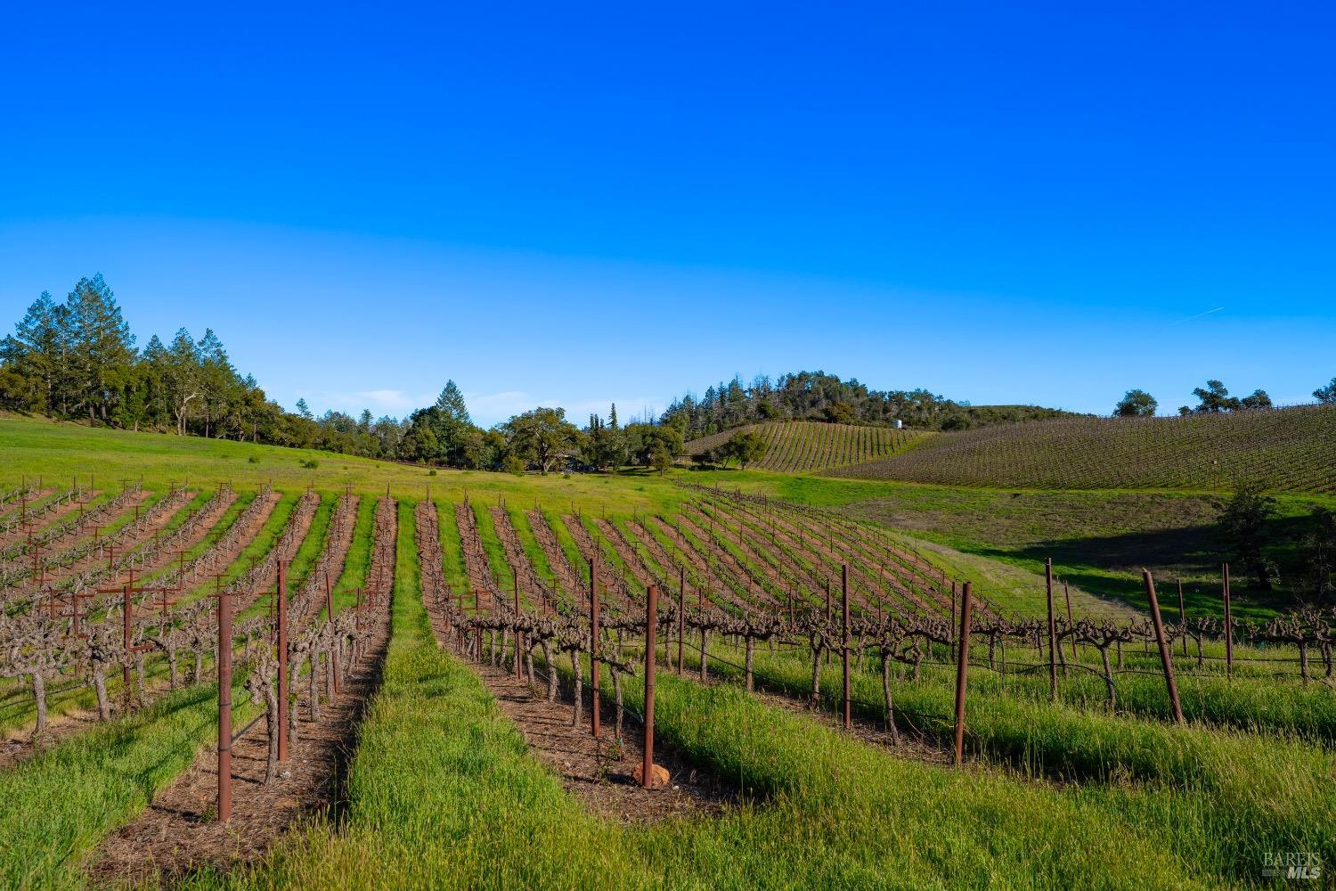 18276 Hwy 128 Unit: #A