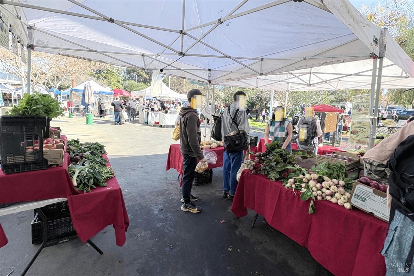 5242 Miles Avenue Unit: Apt C