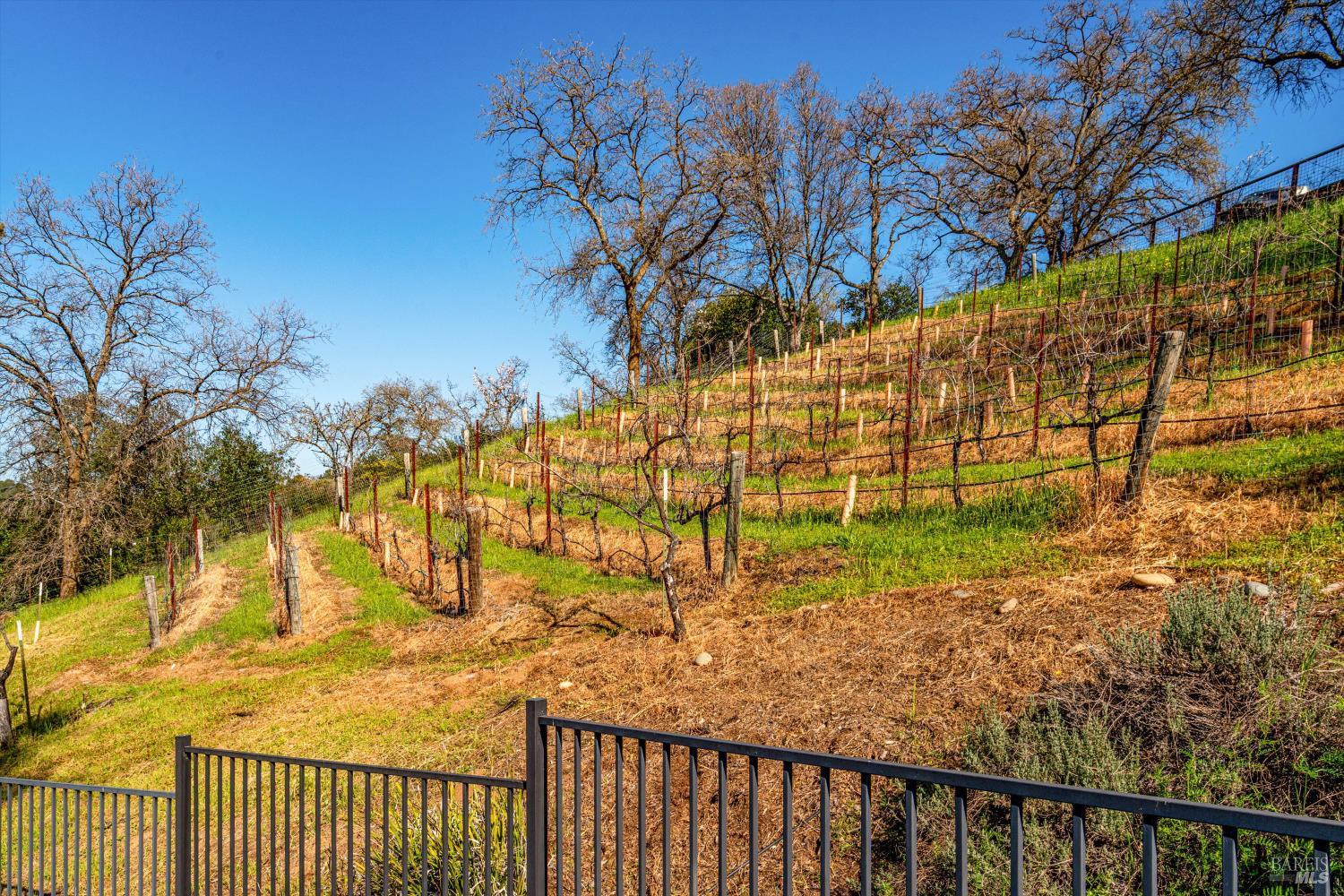 6812 Gibson Canyon Road