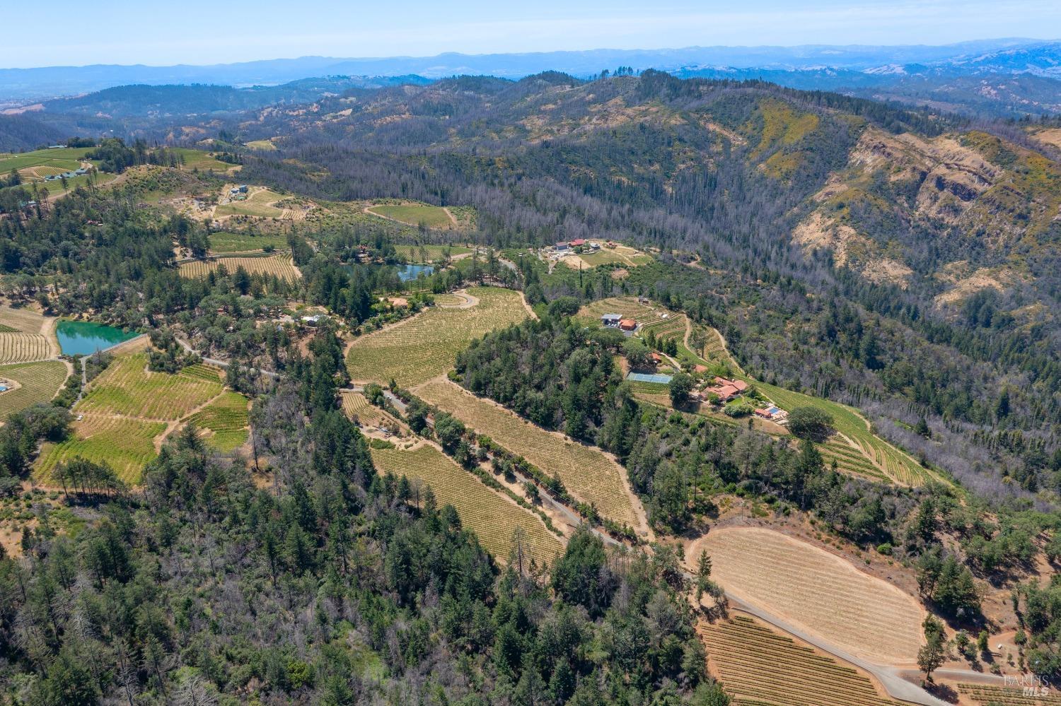 4046 Spring Mountain Road