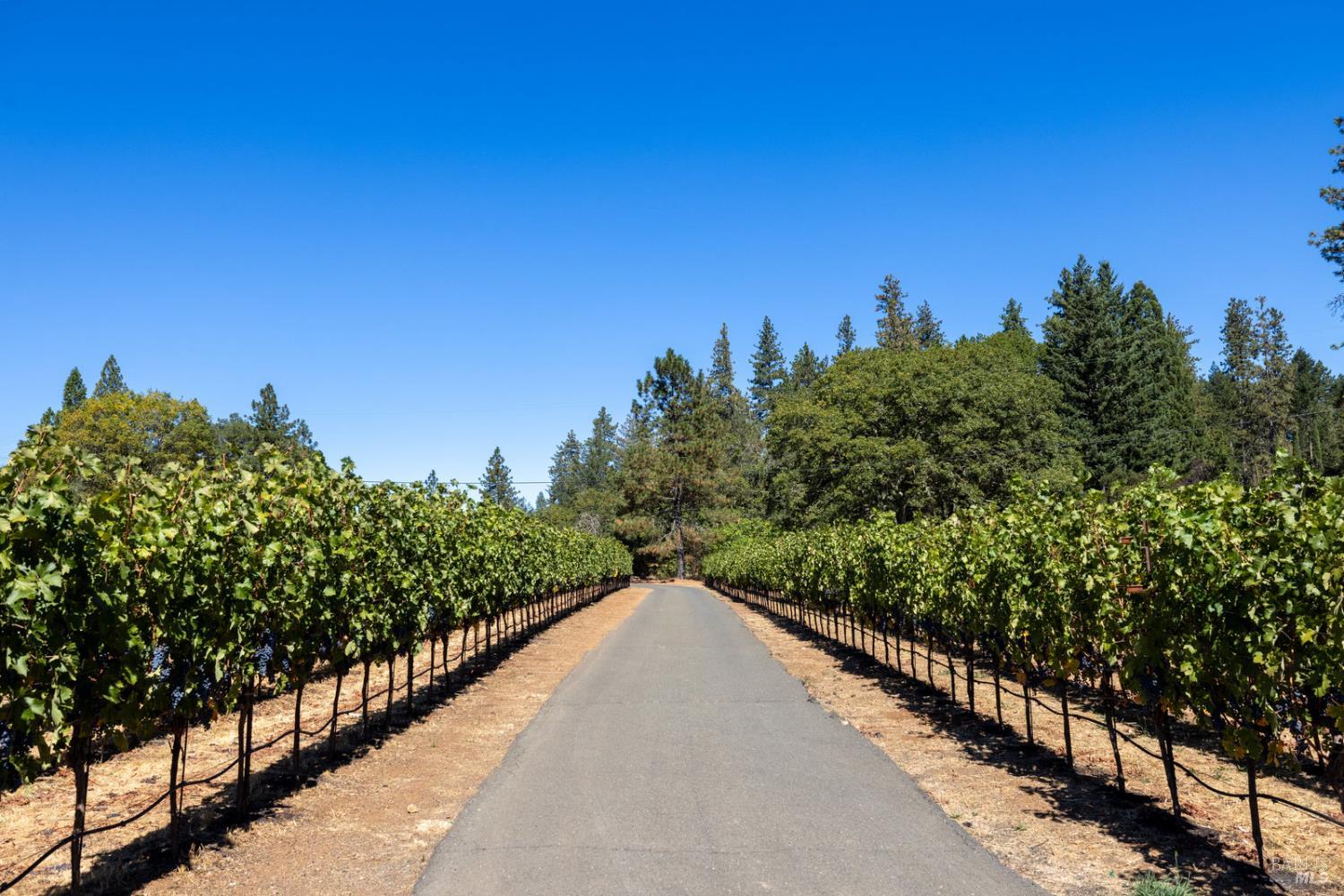 875 White Cottage Road N