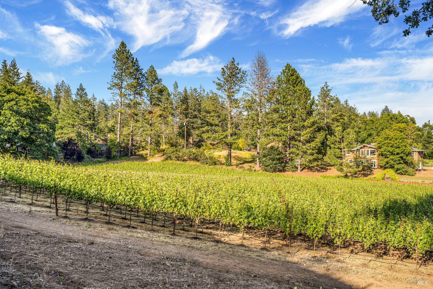 875 White Cottage Road N