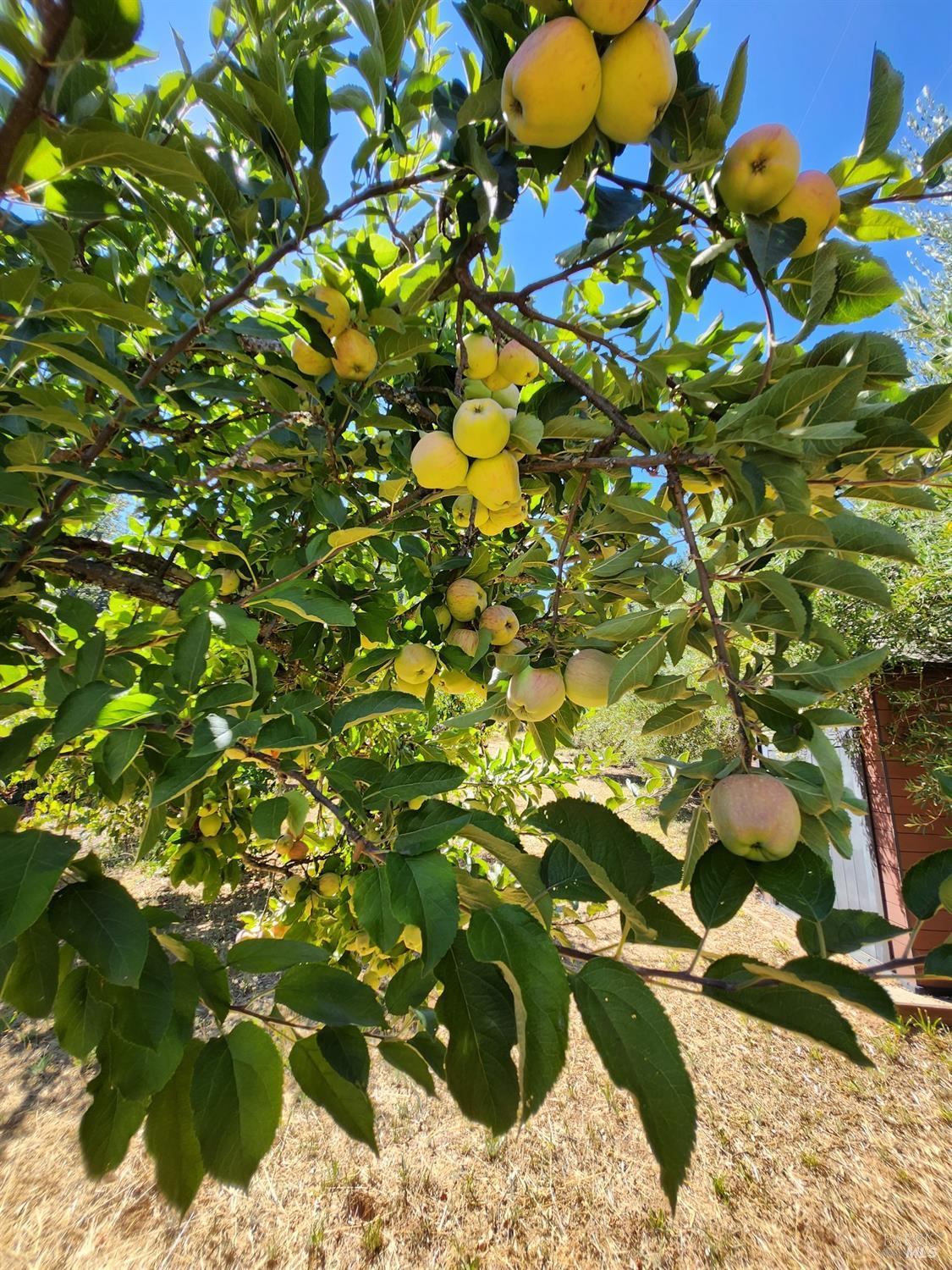 1275 Summit Lake Drive