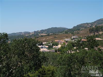 1150 Castle Oaks Drive