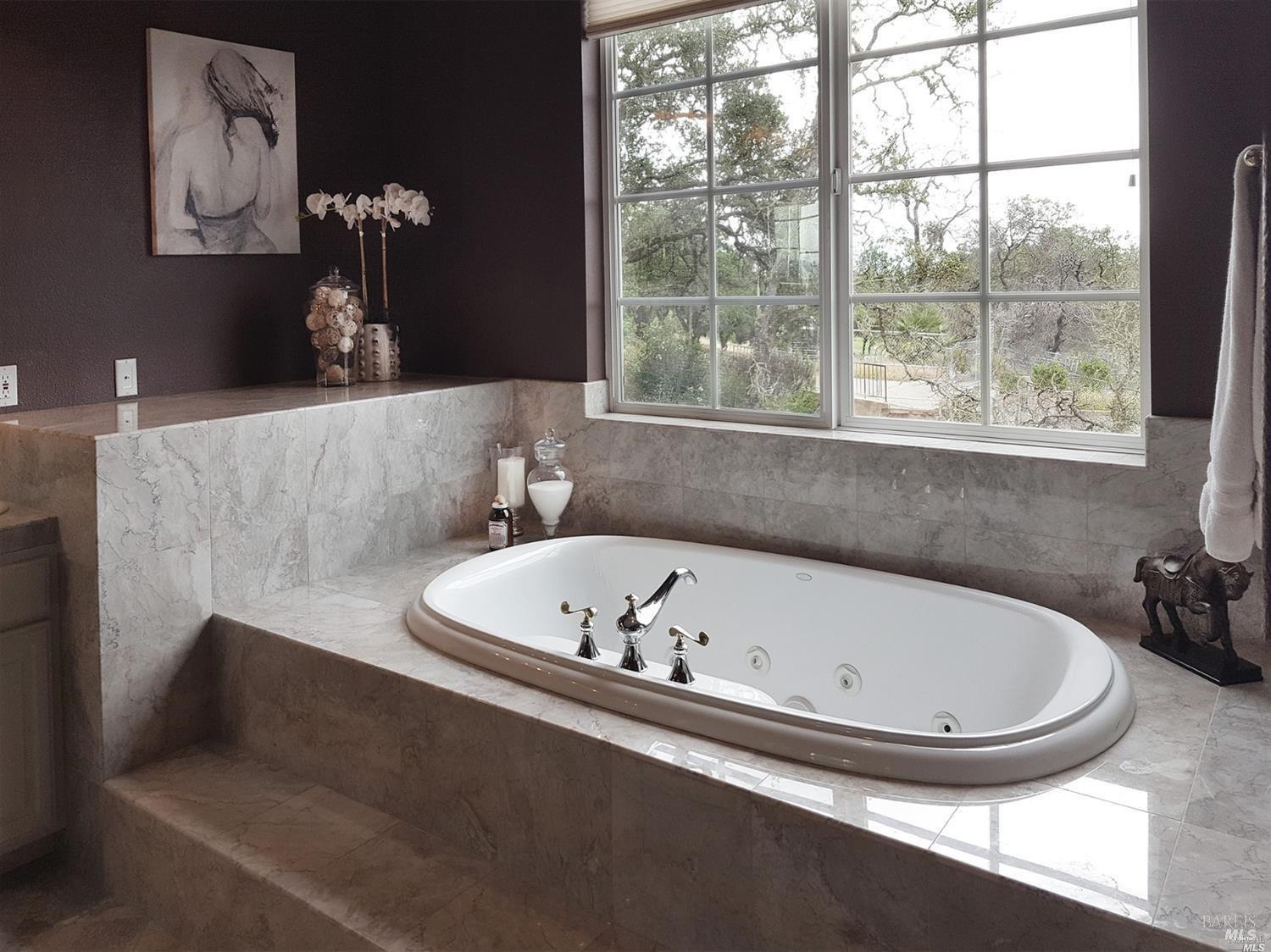 1161 Castle Oaks Drive