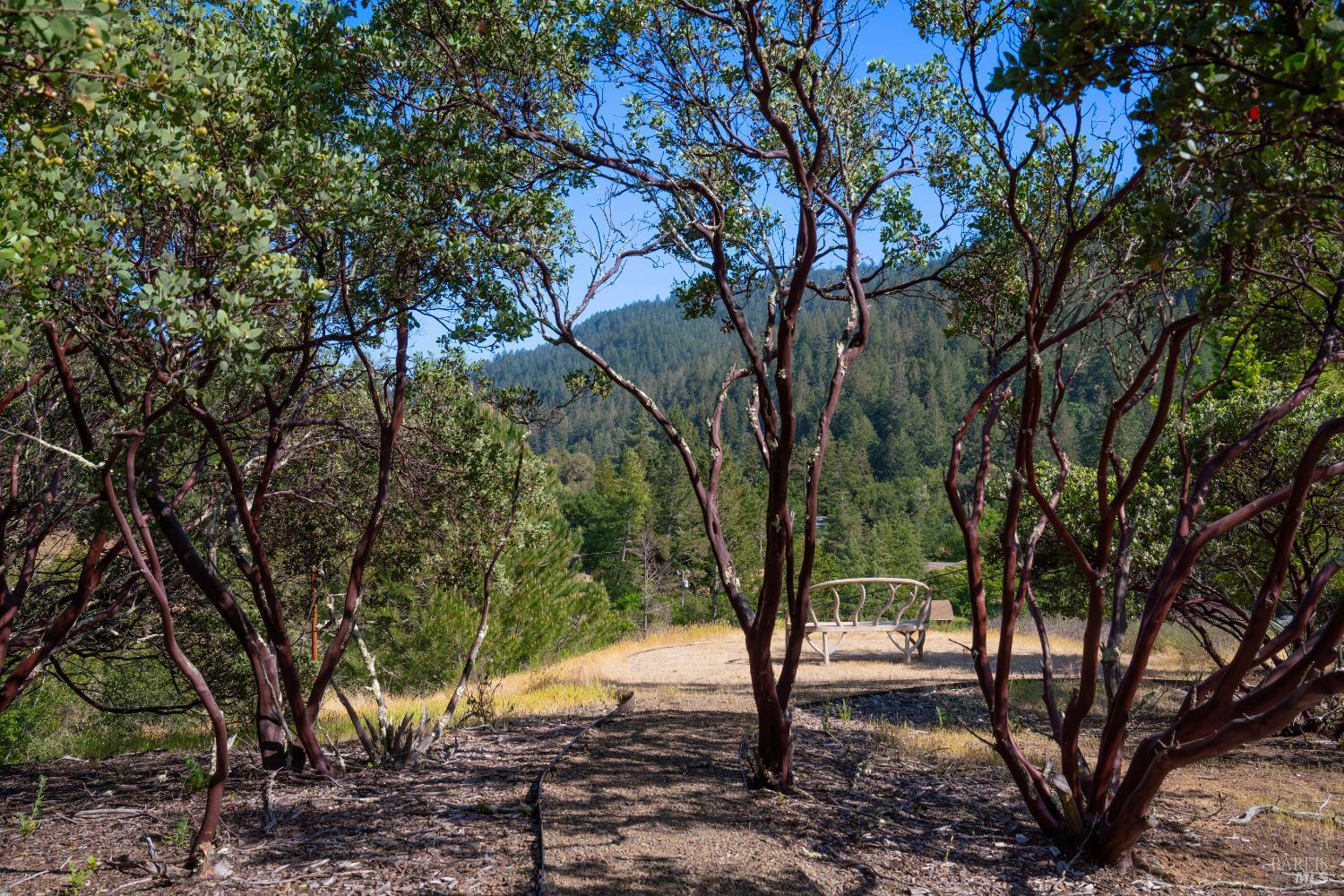 5270 Dry Creek Road