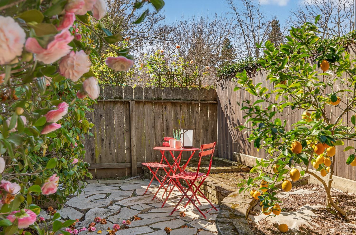 3932 Montrose Street