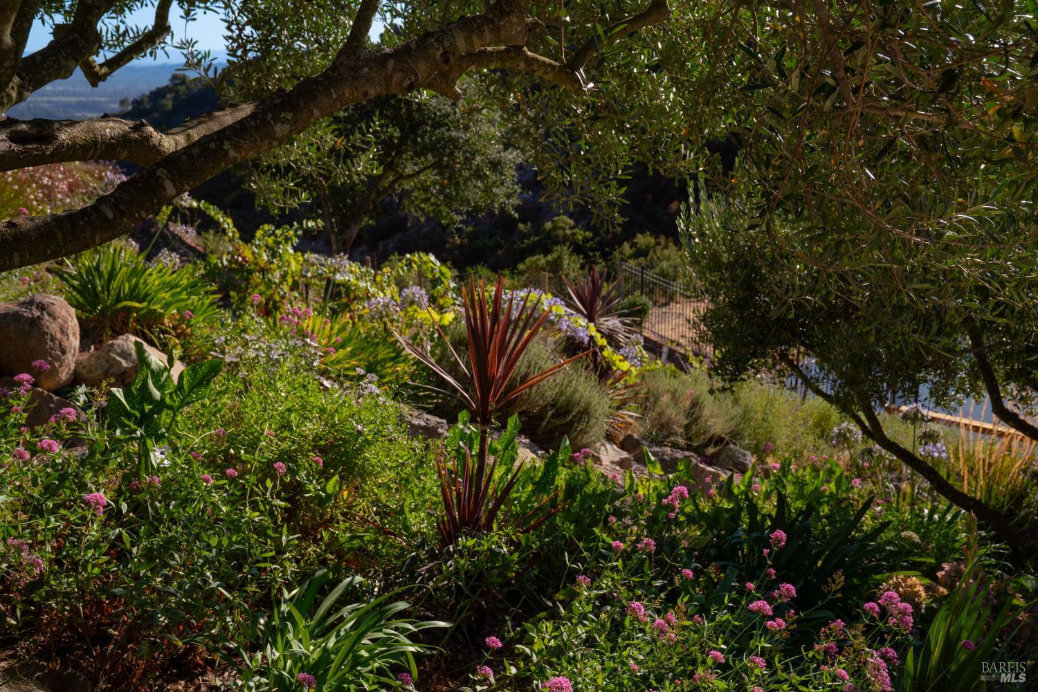 2700 Atlas Peak Road