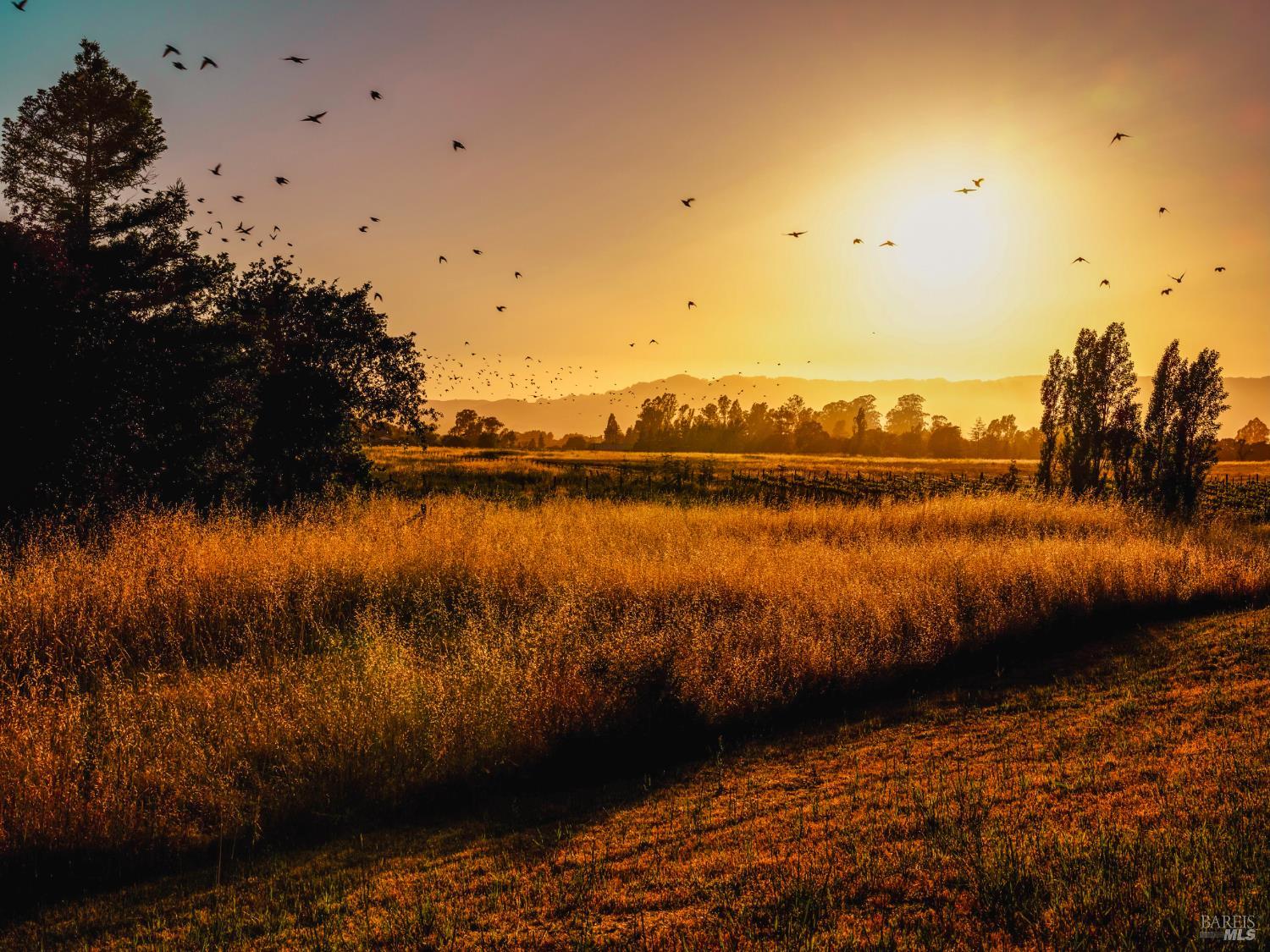 21831 Schellville Road