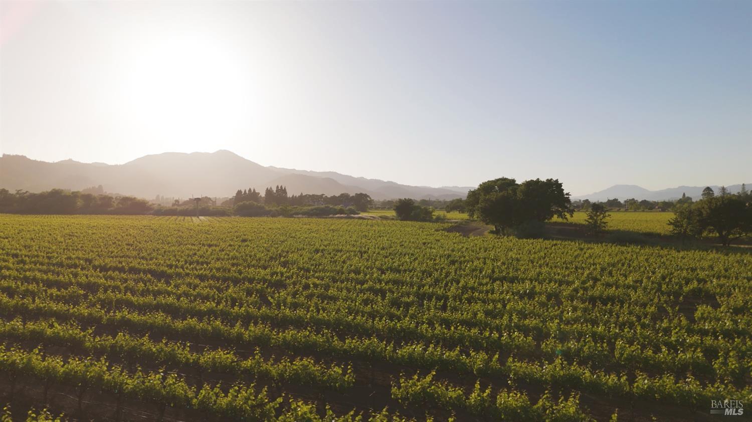 1300 Yount Mill Road