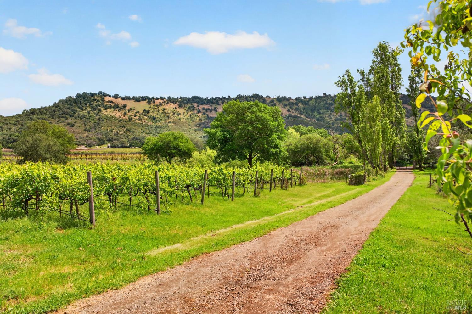 7440 Wild Horse Valley Road