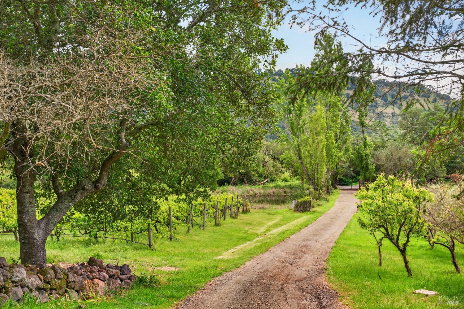 7440 Wild Horse Valley Road