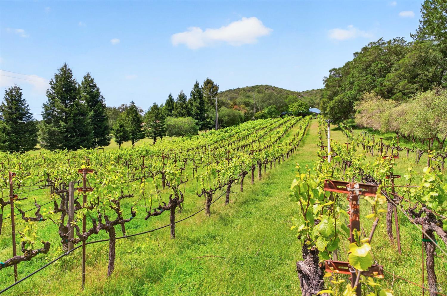 7440 Wild Horse Valley Road