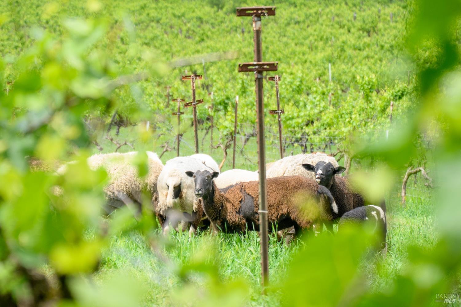 7440 Wild Horse Valley Road