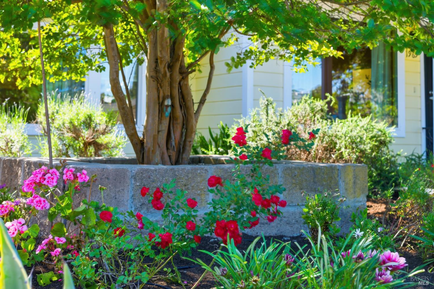 1969 Tuolumne Street