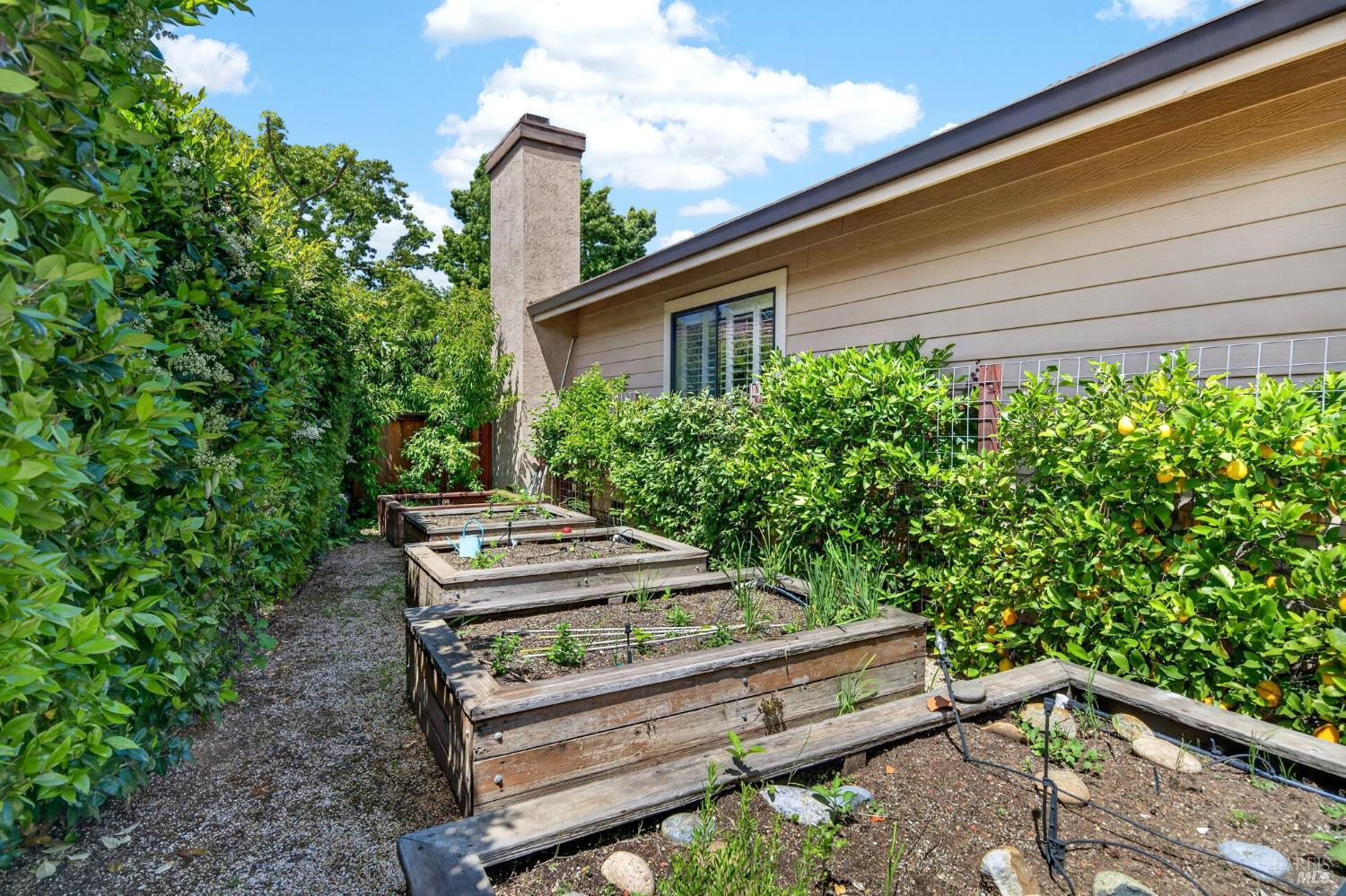109 Silverado Springs Drive