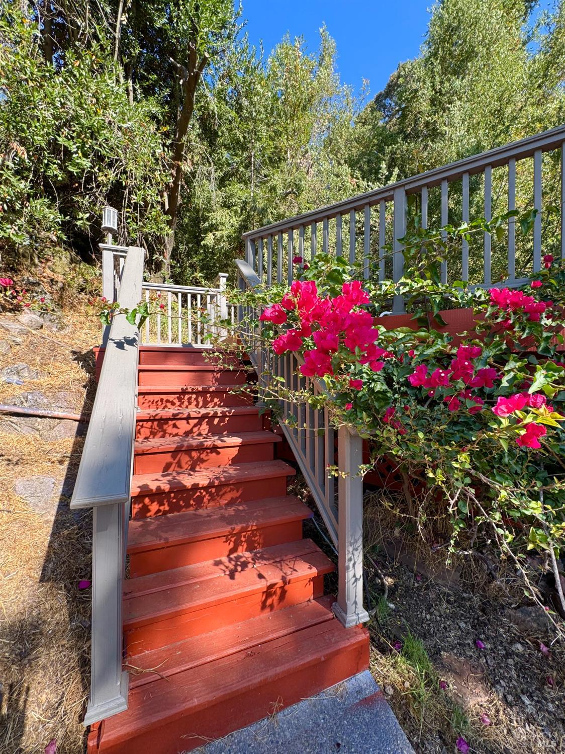 1776 Partrick Road